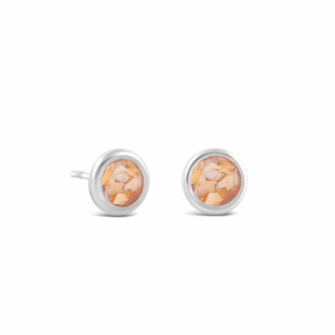 Lions's Paw Shell - July Birth Month Stud Earrings