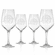 Mariner's Star All Purpose Wine Glass