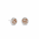 Nutmeg Shell - August Birth Month Stud Earrings