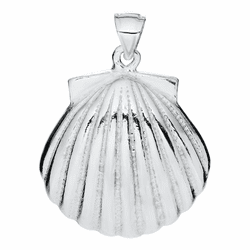 Scallop Shell Necklace - Classic Clasp