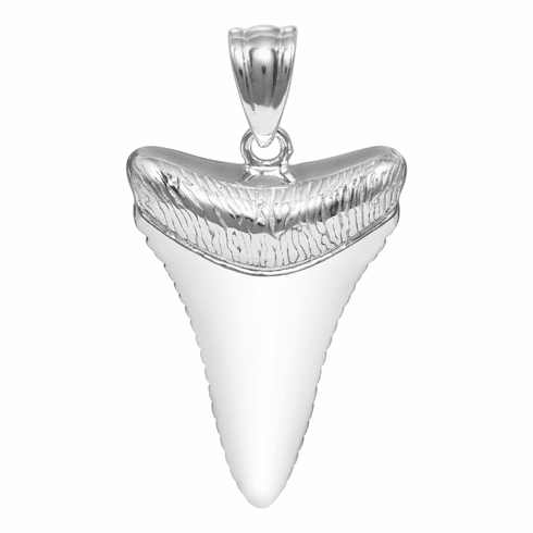 Shark's Tooth Necklace