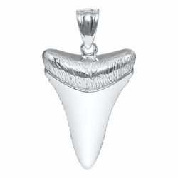 Shark's Tooth Necklace