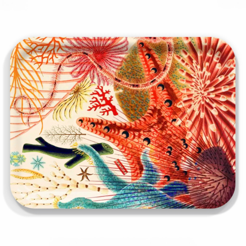 Tidepool Wonders Rectangular Birchwood Coastal Tray