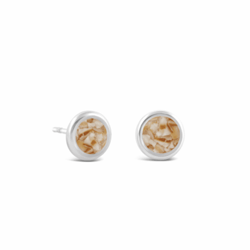 Tulip Shell - February Birth Month Stud Earrings