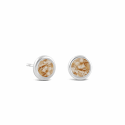 Tulip Shell - February Birth Month Stud Earrings