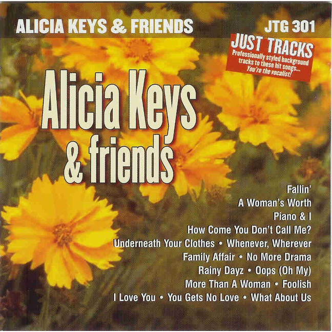HITS OF ALICIA KEYS & FRIENDS    Just Tracks  JTG 301