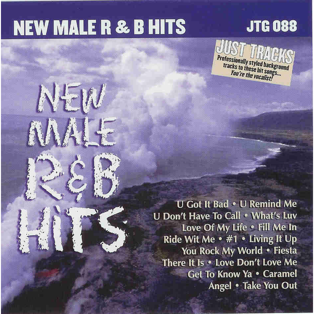 NEW MALE R&B HITS      Just Tracks     JTG088 