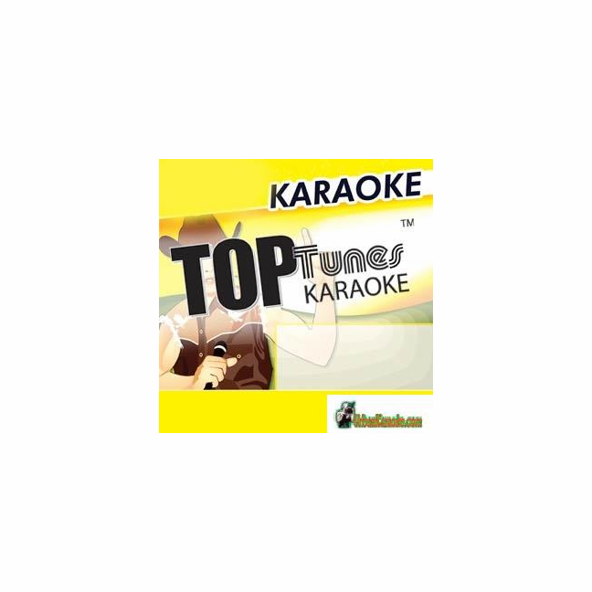 POP HITS VOL. 23 MARCH 2002 Top Tunes TT 097