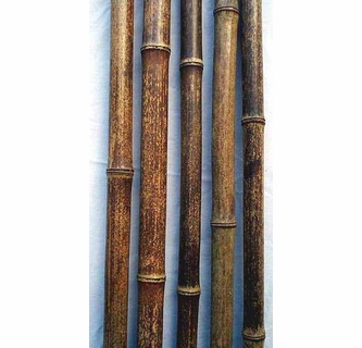 best bass fishing fly rods Specialty fly rods for bass, pike, musky and streamers