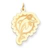 14k Miami Dolphin Large Charm