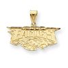 14k Philadelphia Eagles Charm