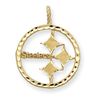 14k Pittsburgh Steelers Charm