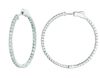 2 Pointer hoop earrings/patented snap lock