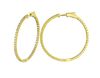 2 Pointer hoop earrings/patented snap lock