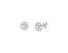 20 Pointer diamond earrings
