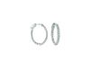 7 Pointer oval hoop earrings