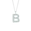 Diamond B necklace