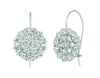 Diamond earrings