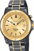 Seiko Men's Perpetucal Calendar  SNQ072