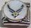 Air Force Symbol Italian Charm