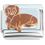 Dachshund Italian Charm