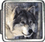 Wolf Photo Italian Charm