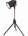 Lite Source Dark Bronze Directeur Table Lamp LS-21724D-BRZ Lite Source Dark Bronze Directeur Table Lamp LS-21724D-BRZ