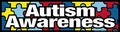 Autism Awareness Bumper Magnet Autism Awareness Bumper Magnet