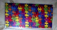 Autism Check Book Cover