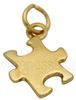 Autism Gold Charm