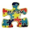 Autism Puzzle Pin