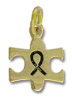 Gold Autism Puzzle Ribbon Charm