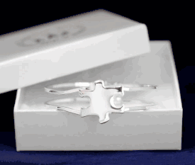 Silver Autism Bangle with Puzzle Clasp