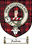 Andrew Clan Badge / Tartan FREE preview