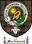 Macaldonich Clan Badge / Tartan FREE preview