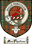 Macphedran Clan Badge / Tartan FREE preview