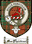 Macpheidran Clan Badge / Tartan FREE preview