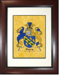 Stacy Coat of Arms Framed Print