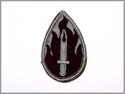 63rd Infantry Division: Army Combat Uniform (ACU) Patch