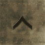 A-TACS ARMY ENLISTED RANK IN OLIVE DRAB