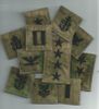 A-TACS FG (Foliage Green) RANKS