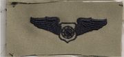 ABU AIR BATTLE MANAGER BASIC Embroidered Qualification badge