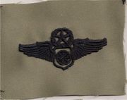 ABU AIR BATTLE MANAGER MASTER Embroidered Qualification badge