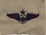 ABU AIR BATTLE MANAGER SENIOR Embroidered Qualification badge