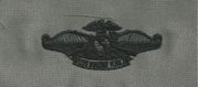 ABU FLEET MARINE FORCE Embroidered Qualification badge
