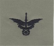 ABU FREEFALL HALO MASTER Embroidered Qualification badge