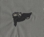 ABU PATHFINDER Embroidered Qualification badge