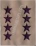 ABU SEW ON RANK 01O General (Point to Center) SOLD AS A PAIR
