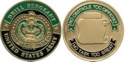 Army DRILL SGT COIN