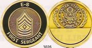 ARMY E8 FIRST SERGEANT